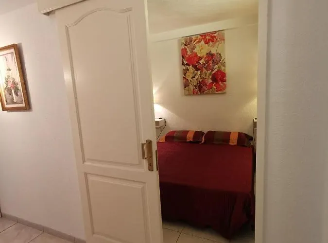 531 Paraiso